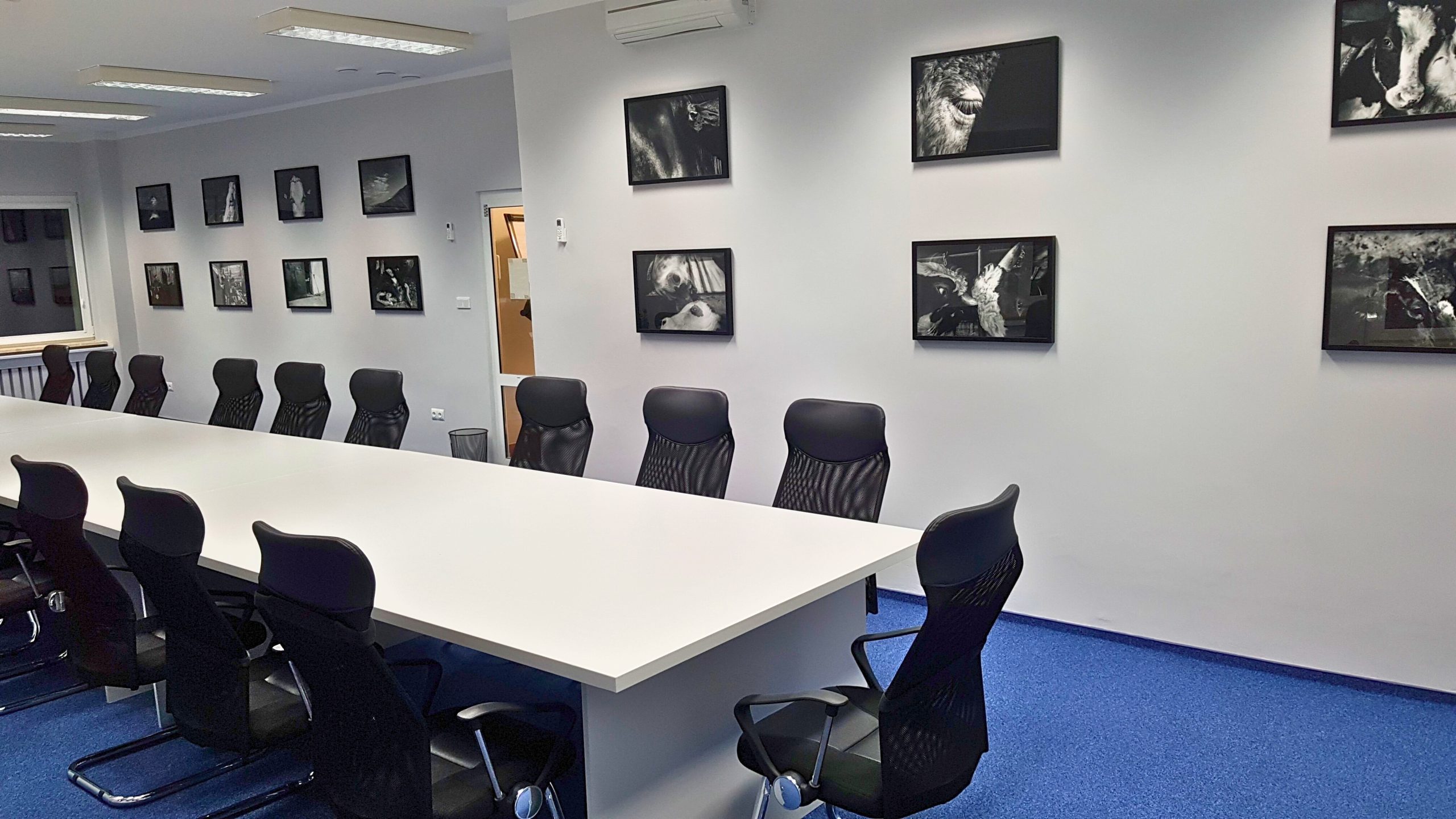 560faca9-5c7a-406a-91a4-44892fce3a22